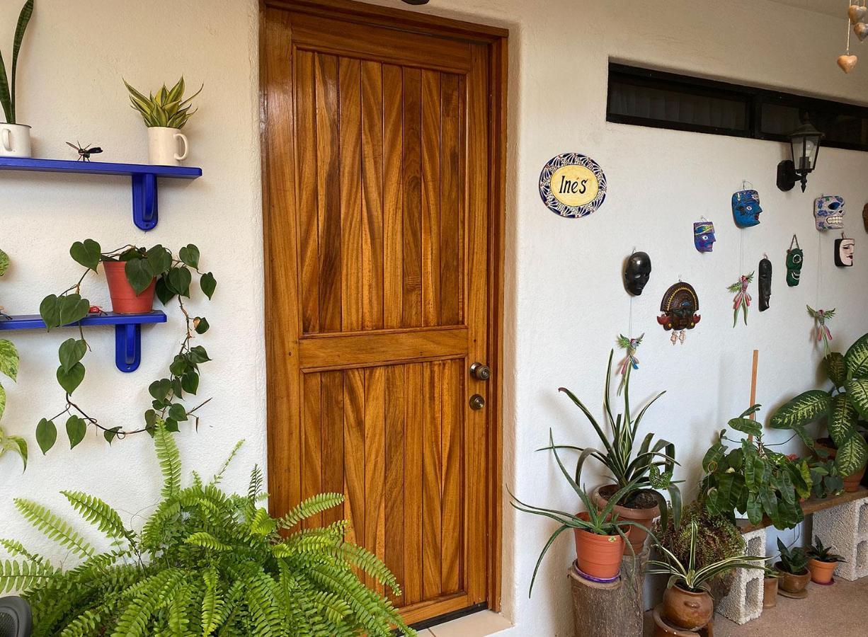 Zandoyo Bed & Breakfast Puerto Escondido  Exterior foto